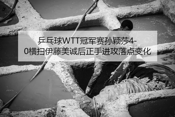 乒乓球WTT冠军赛孙颖莎4-0横扫伊藤美诚后正手进攻落点变化