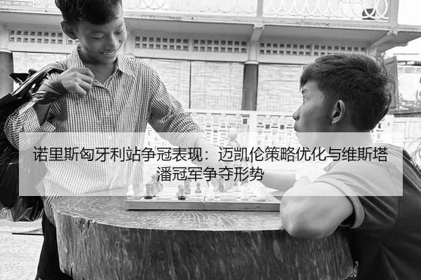 诺里斯匈牙利站争冠表现：迈凯伦策略优化与维斯塔潘冠军争夺形势