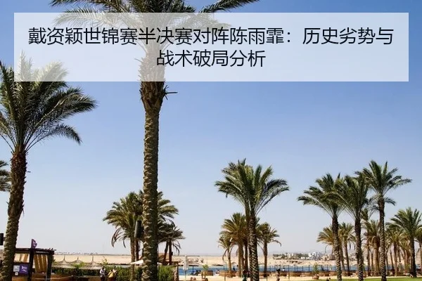 dai-zi-ying-shi-jin-sai-ban-jue-sai-dui-zhen-chen-yu-fei-li-shi-lie-shi-yu-zhan-shu-po-ju-fen-xi-3-555.jpg